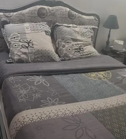 Apartment Christian Lyon